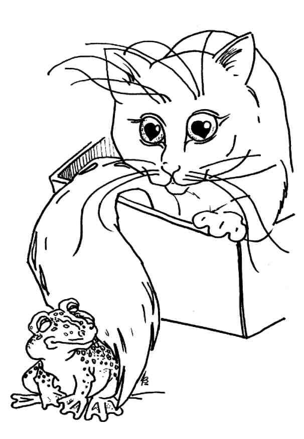 Кошки как дети Кошки как дети