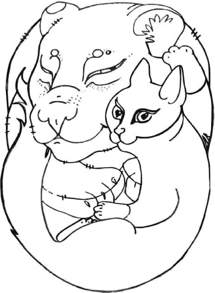 Кошкин мир (сборник) Кошкин мир (сборник)