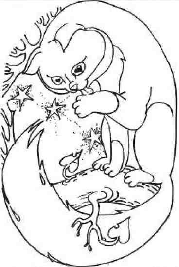 Кошкин мир (сборник) Кошкин мир (сборник)