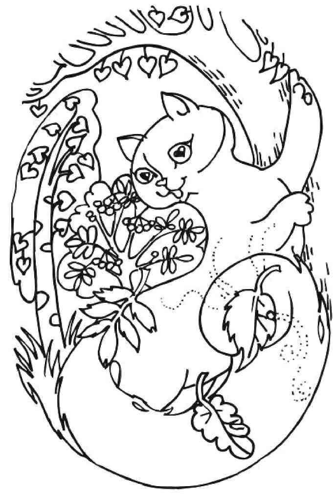 Кошкин мир (сборник) Кошкин мир (сборник)