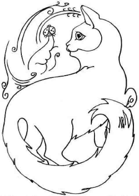 Кошкин мир (сборник) Кошкин мир (сборник)