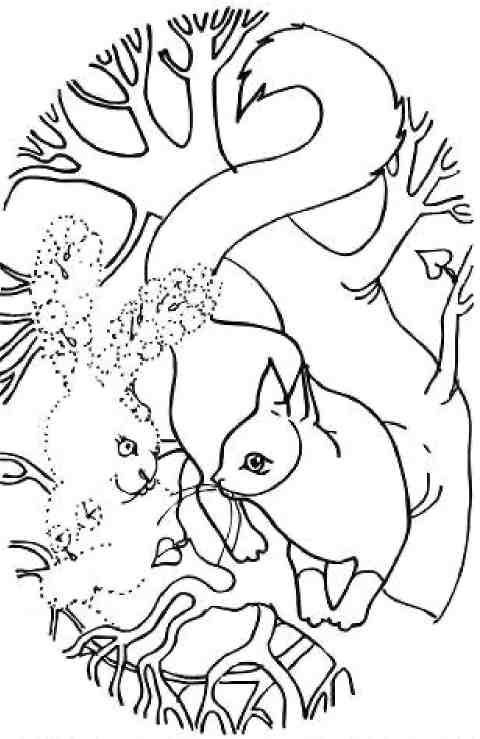 Кошкин мир (сборник) Кошкин мир (сборник)