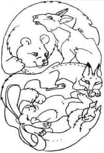 Кошкин мир (сборник) Кошкин мир (сборник)