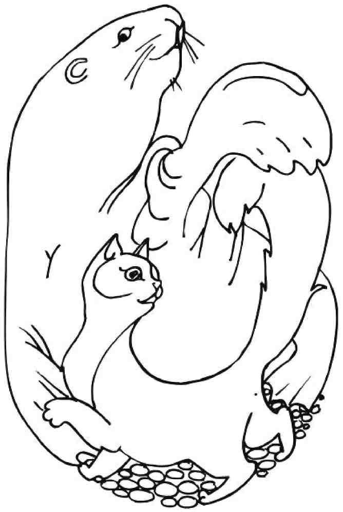 Кошкин мир (сборник) Кошкин мир (сборник)