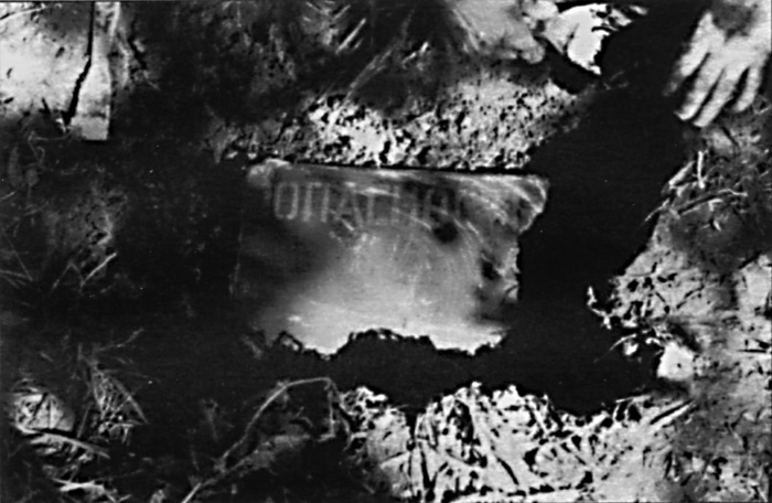 Шпионский пасьянс Шпионский пасьянс