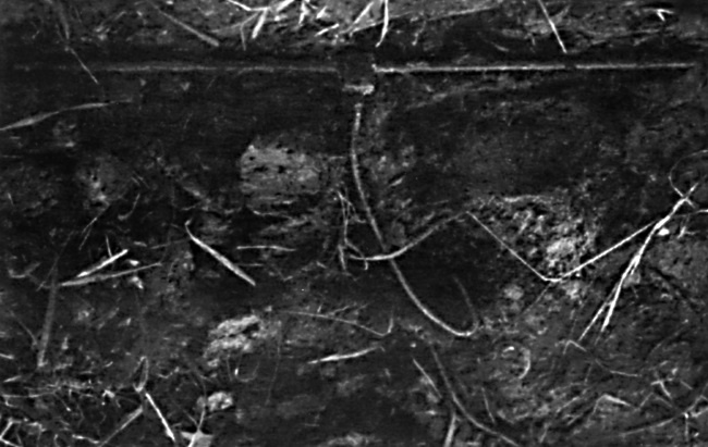 Шпионский пасьянс Шпионский пасьянс