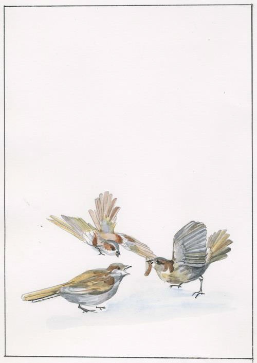 Каникулы Энн Каникулы Энн