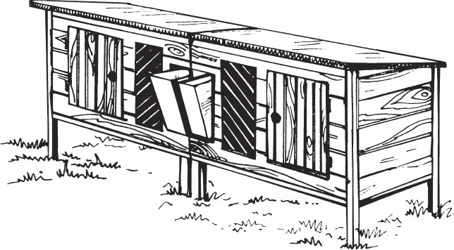 Кролиководство для начинающих Кролиководство для начинающих