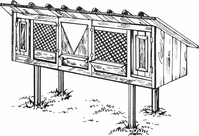 Кролиководство для начинающих Кролиководство для начинающих