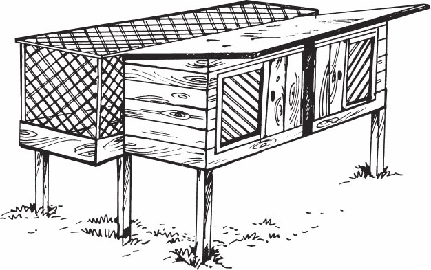 Кролиководство для начинающих Кролиководство для начинающих