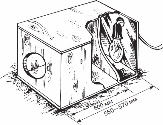 Кролиководство для начинающих