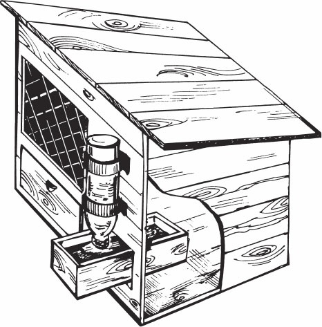 Кролиководство для начинающих