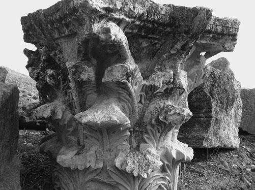 Сирийские перекрестки цивилизации Сирийские перекрестки цивилизации