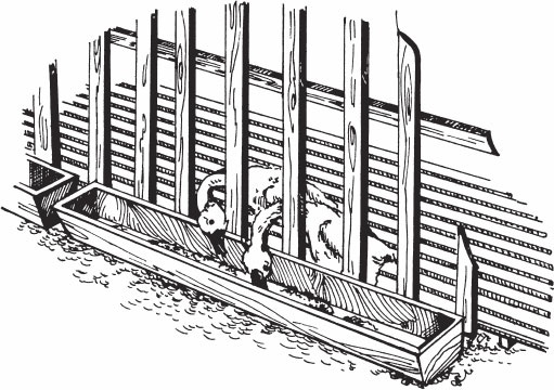 Птицеводство для начинающих. Полный справочник