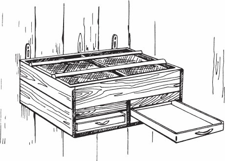 Птицеводство для начинающих. Полный справочник