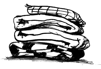 Парящий тигр Парящий тигр