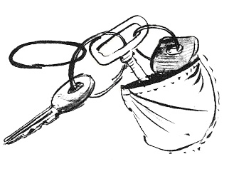 Парящий тигр Парящий тигр