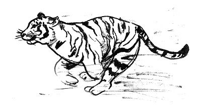 Парящий тигр Парящий тигр