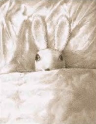 Удивительное путешествие кролика Эдварда Удивительное путешествие кролика Эдварда