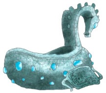 Диковины Диковины