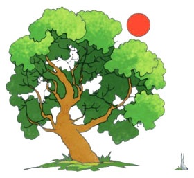 Диковины Диковины