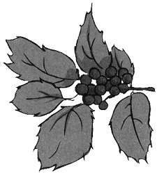 Алмазные стрекозы Алмазные стрекозы