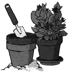 Алмазные стрекозы Алмазные стрекозы