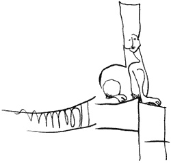 Очень. Петербургские сказки