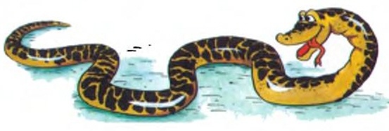 Хитрая ворона Хитрая ворона