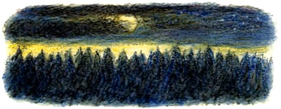 Кривуля Кривуля