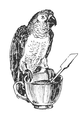 Гарри и попугай