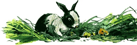 Нос королевы Нос королевы