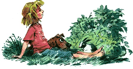 Нос королевы Нос королевы