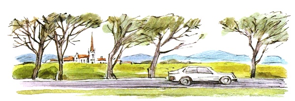 Леди Дейзи Леди Дейзи