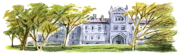 Леди Дейзи Леди Дейзи