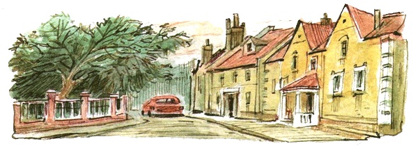 Леди Дейзи Леди Дейзи