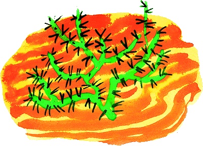 Как появились броненосцы Как появились броненосцы