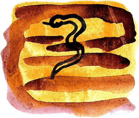 Мотылек, который топнул ногой Мотылек, который топнул ногой