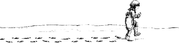 Рождественские истории. Покатай меня, медведица! Рождественские истории. Покатай меня, медведица!