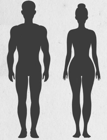 Девочка. Девушка. Женщина Девочка. Девушка. Женщина