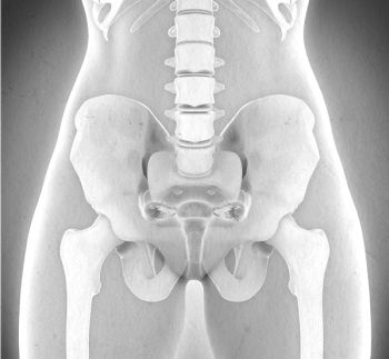 Девочка. Девушка. Женщина Девочка. Девушка. Женщина