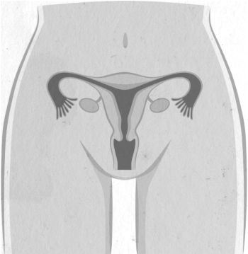 Девочка. Девушка. Женщина Девочка. Девушка. Женщина