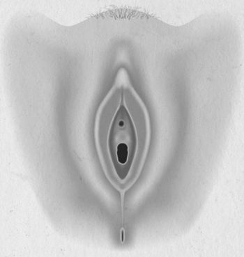 Девочка. Девушка. Женщина Девочка. Девушка. Женщина