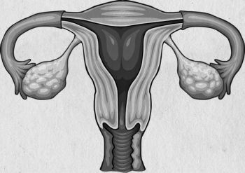 Девочка. Девушка. Женщина Девочка. Девушка. Женщина
