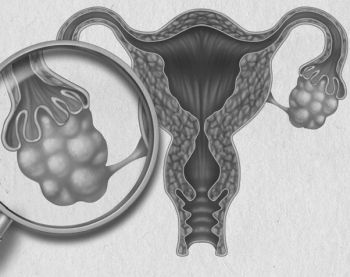 Девочка. Девушка. Женщина Девочка. Девушка. Женщина