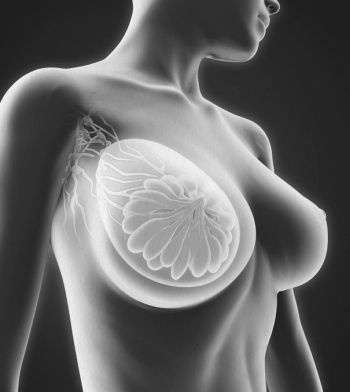 Девочка. Девушка. Женщина Девочка. Девушка. Женщина