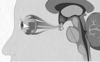 Девочка. Девушка. Женщина Девочка. Девушка. Женщина