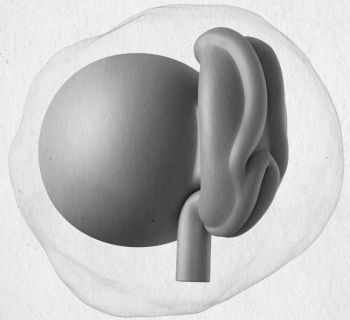 Девочка. Девушка. Женщина Девочка. Девушка. Женщина