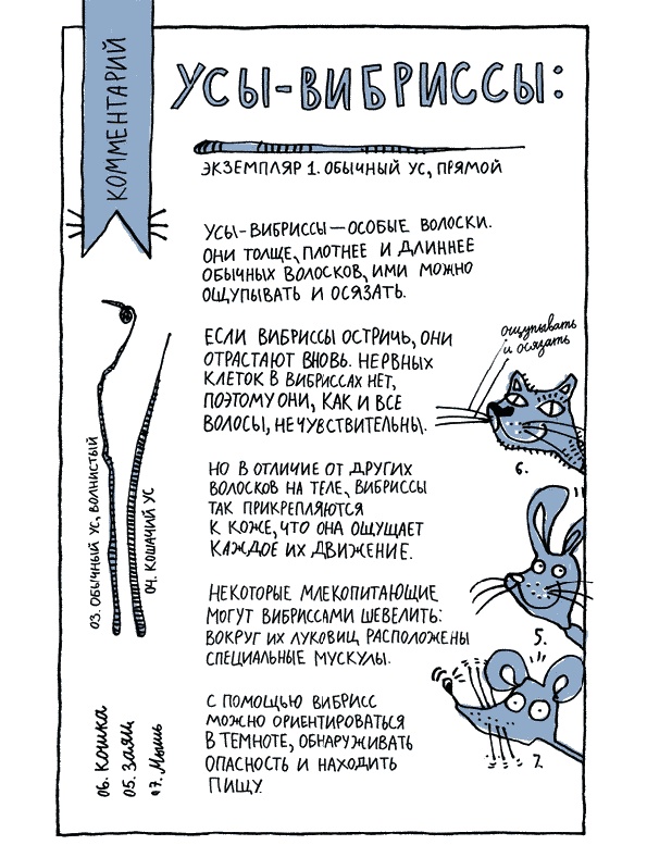 Удивительные приключения запредельно невероятной, исключительно неповторимой, потрясающей, ни на кого не похожей Маулины Шмитт. Часть 1. Мое разрушенное королевство