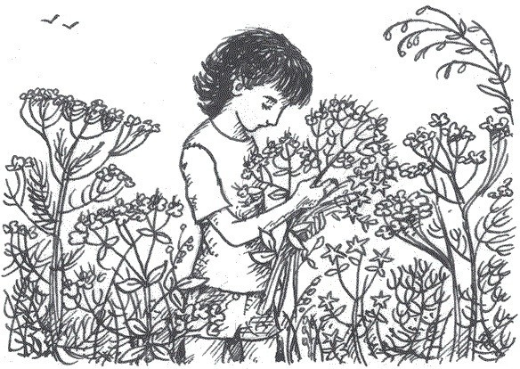 Легкие горы Легкие горы